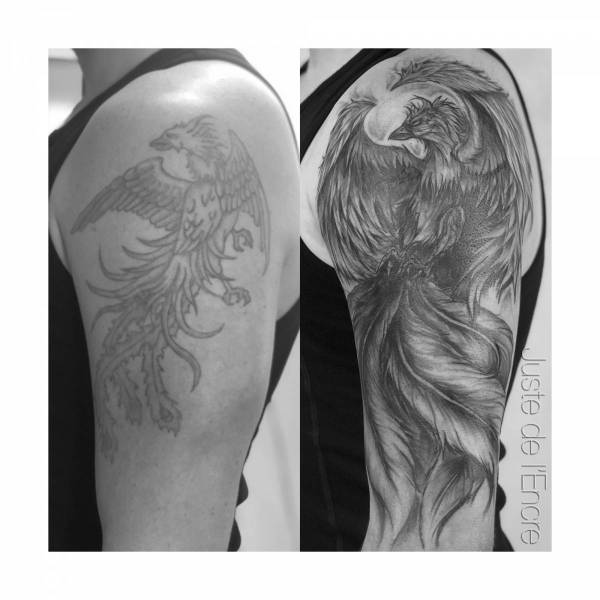 Covering de tatouage en forme de phoenix modernisé pour lui redonner vie et du peps à Craponne près de Villefranche