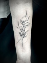 Notre zone d'activité pour ce service Prix d'un tatouage sur le bras à