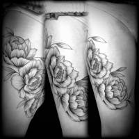 Nos prestations sur le secteur de Ecully 69 Ouest Lyonnais